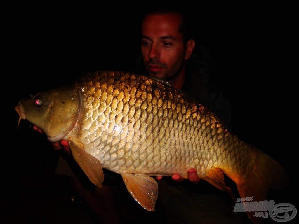 20:30-kor érkezett Monster Crab fluo bojlival csalizott szerelékre: 4,7 kg