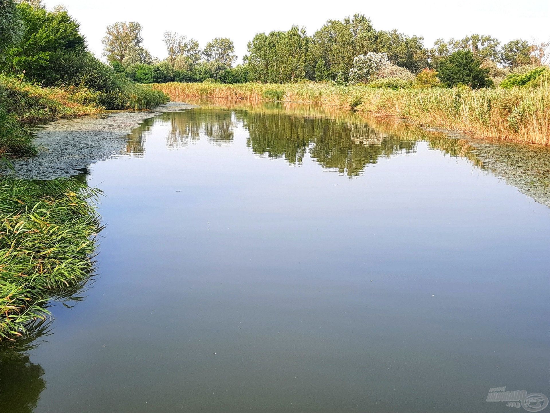 Kedvenc vizem a Kiskunsági-főcsatorna