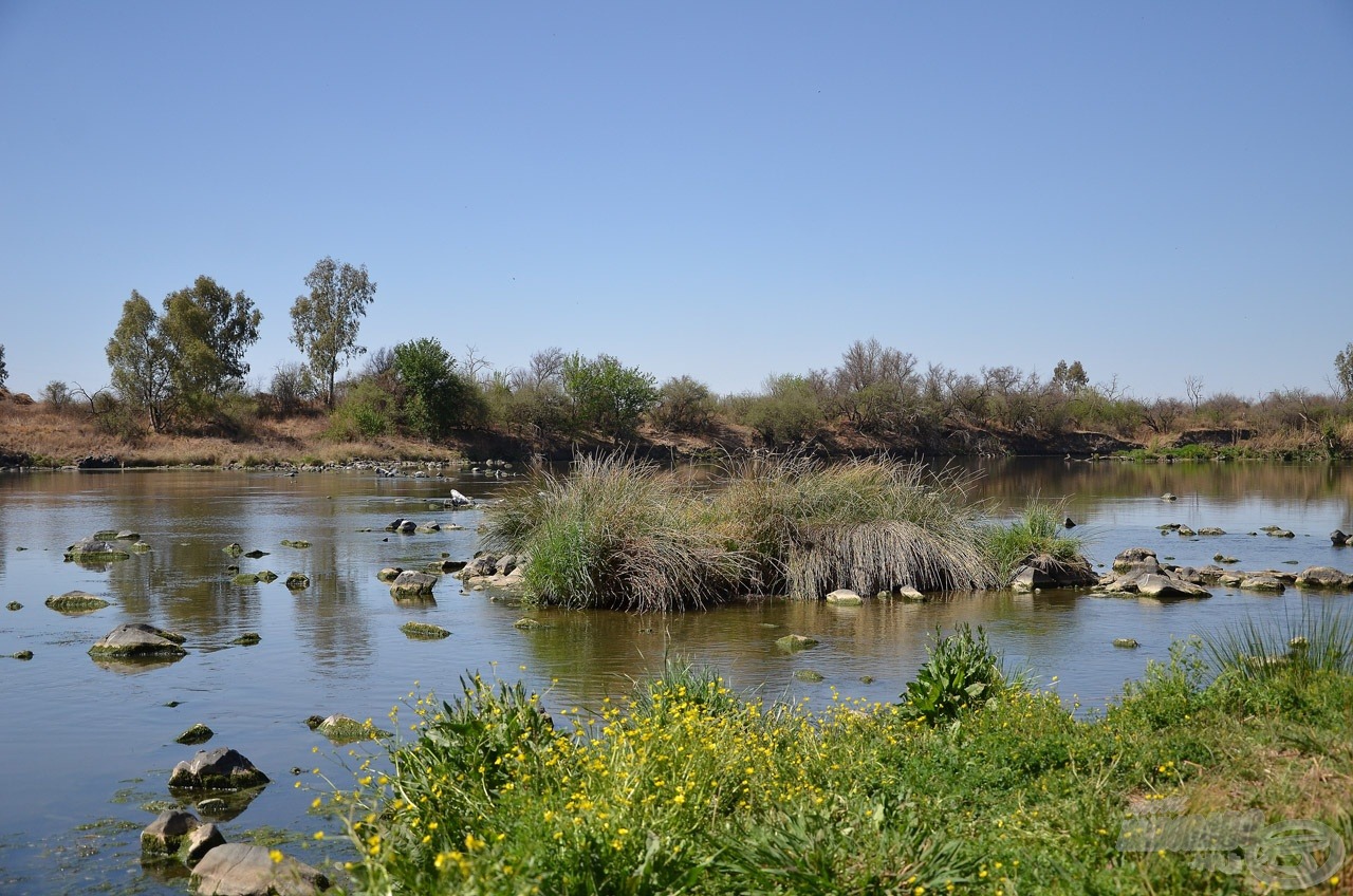 Igazán vadregényes folyó a Vaal river, amely a pontyok kedvelt lakhelye