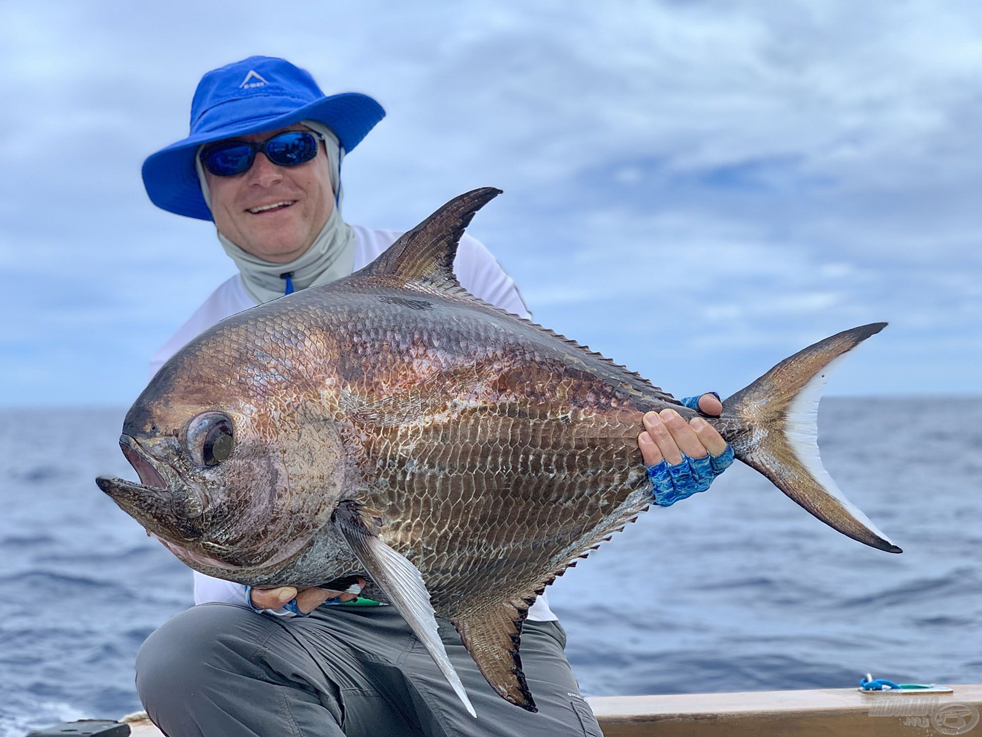 Egy újabb különleges mélytengeri hal: big-scale pomfret