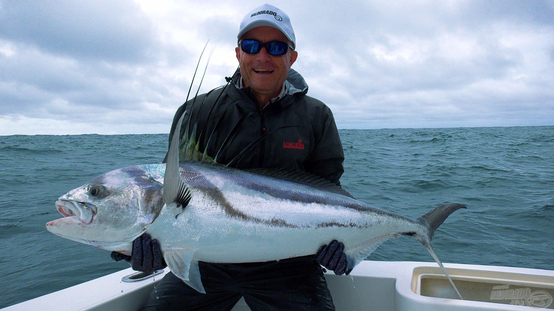 20 kg feletti roosterfish