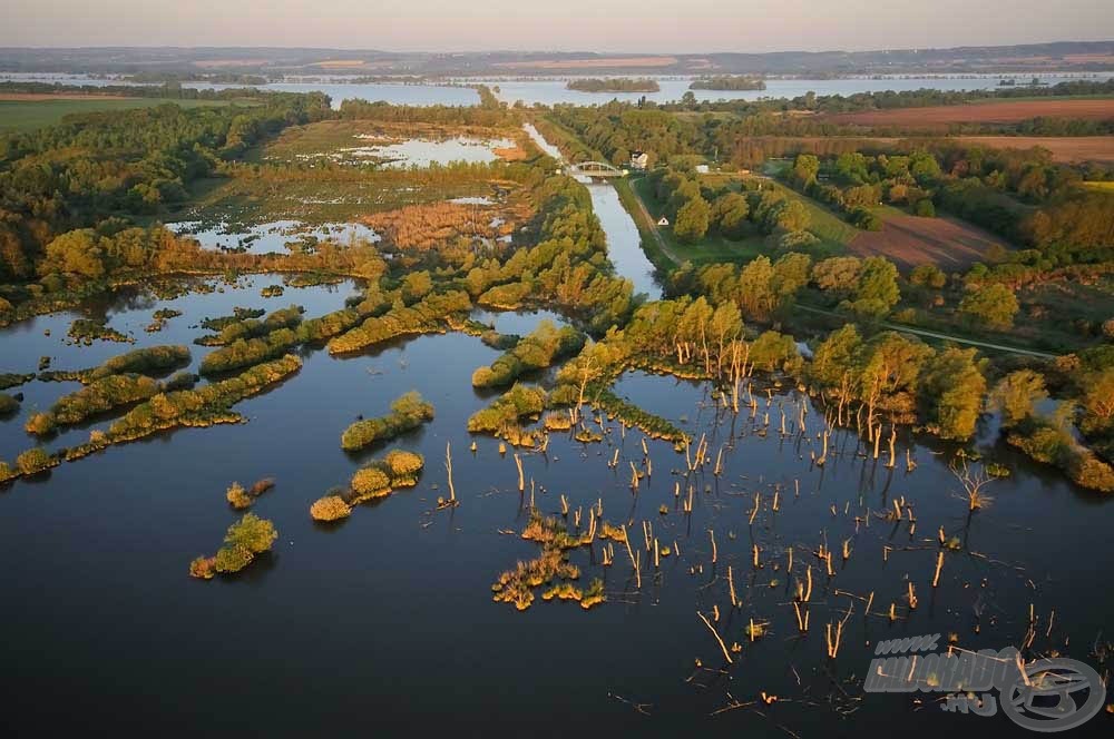 Ez aztán az igazi vadvíz, neve Kis-Balaton!