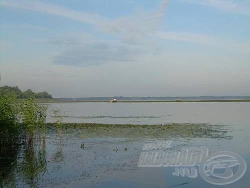 A tökös sok pontyot rejt!