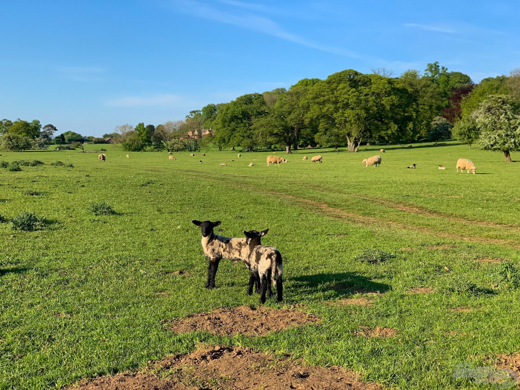 Nem tudom megunni ezt a panorámát