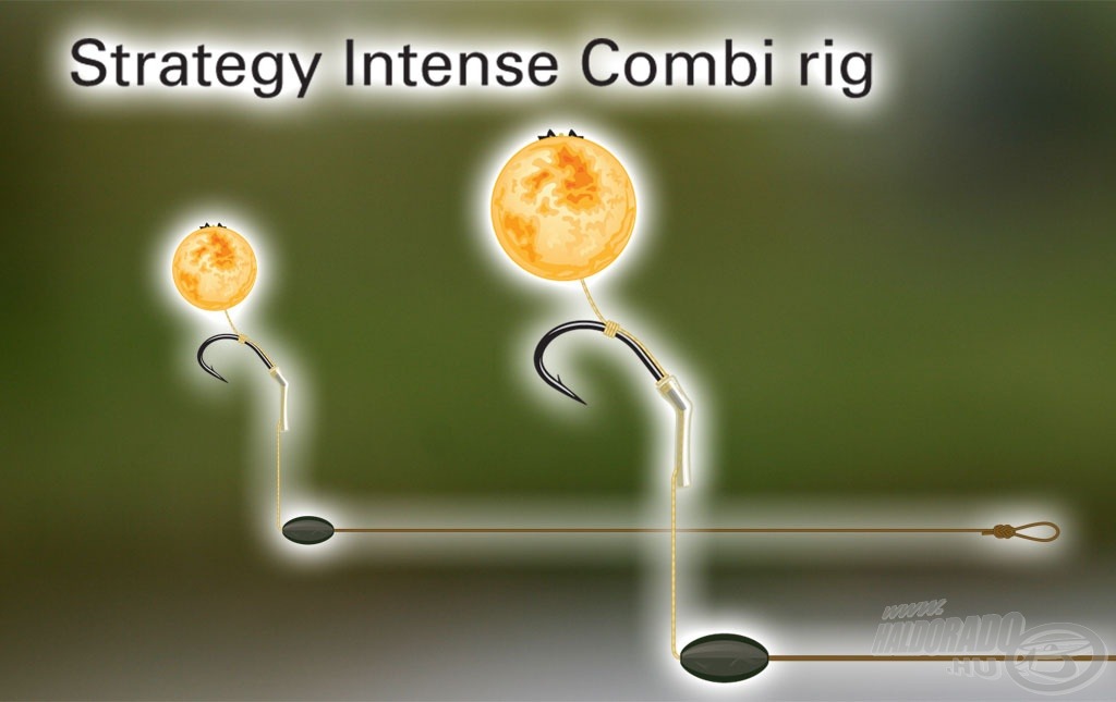 A Strategy Intense Combi rig elkészítéséhez nélkülözhetetlen az Intense előkezsinór