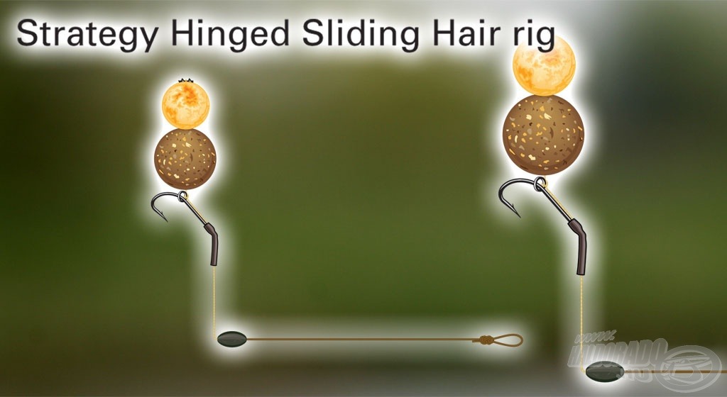 A Strategy Hinged Sliding Hair rig…