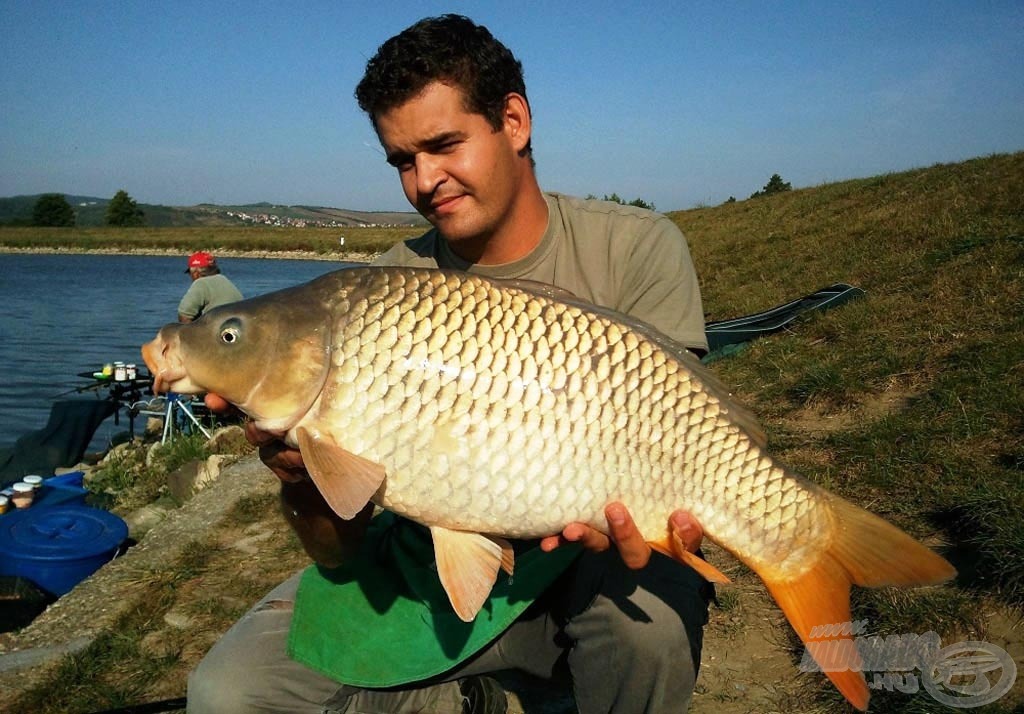 Sipos Gábor a Fővárosi kalandozások c. sorozatával vált igazán ismertté a Haldorádó látogatói számára