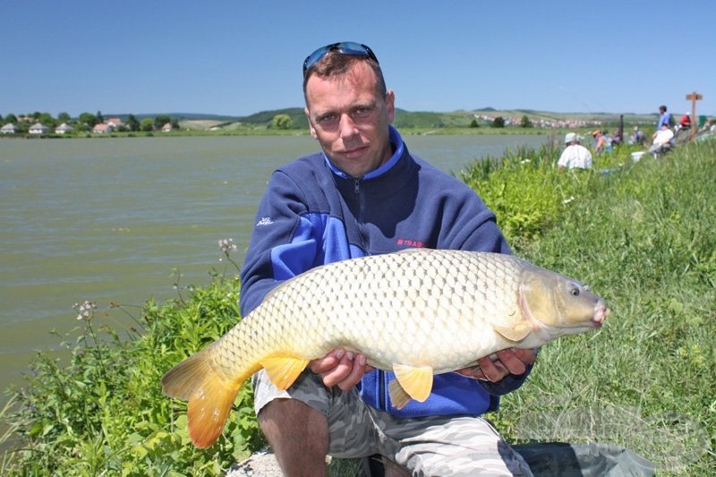 Az „A” szektor 2-es helyén horgászó Gombos Zoltán ilyen gyönyörű pontyokat fogott