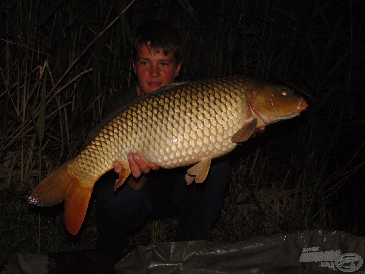 11 kg-os bivalyerős nyurga