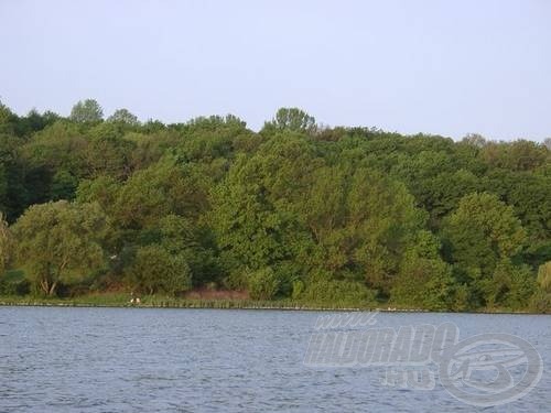 A Reptérrel szemközti öböl nyáron pontyot, keszeget, ősszel csukákat, süllőket adhat. Az öböl és környéke szemből...