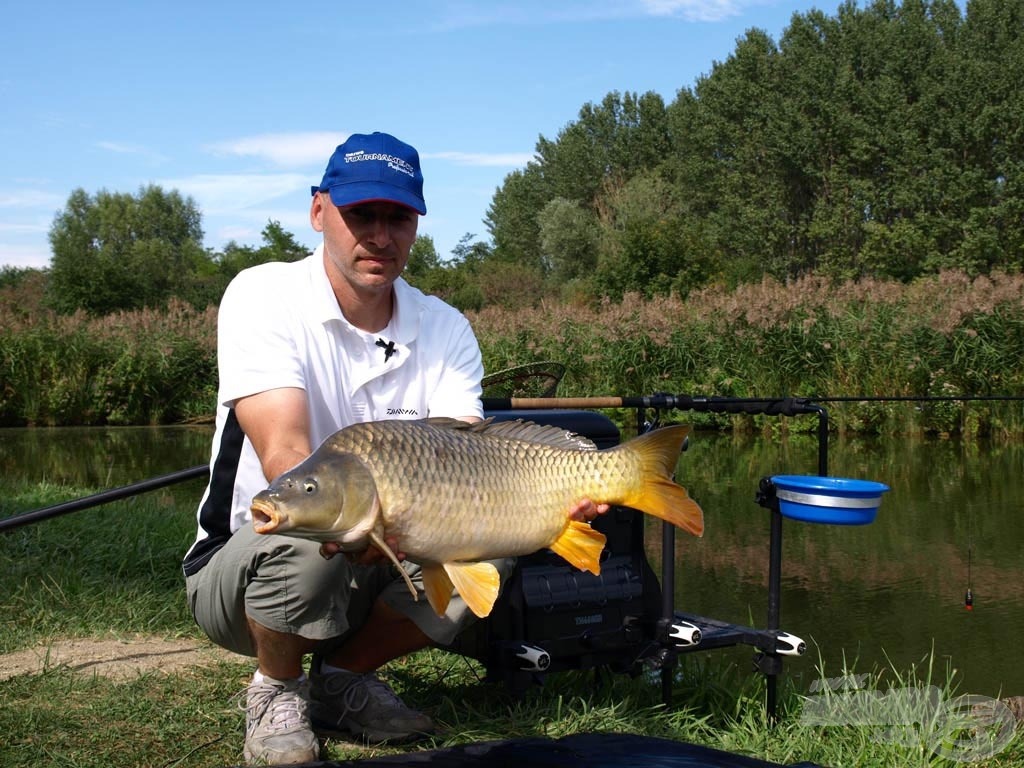 Gyönyörű környezetben, pellet waggler módszerrel fogott ponty