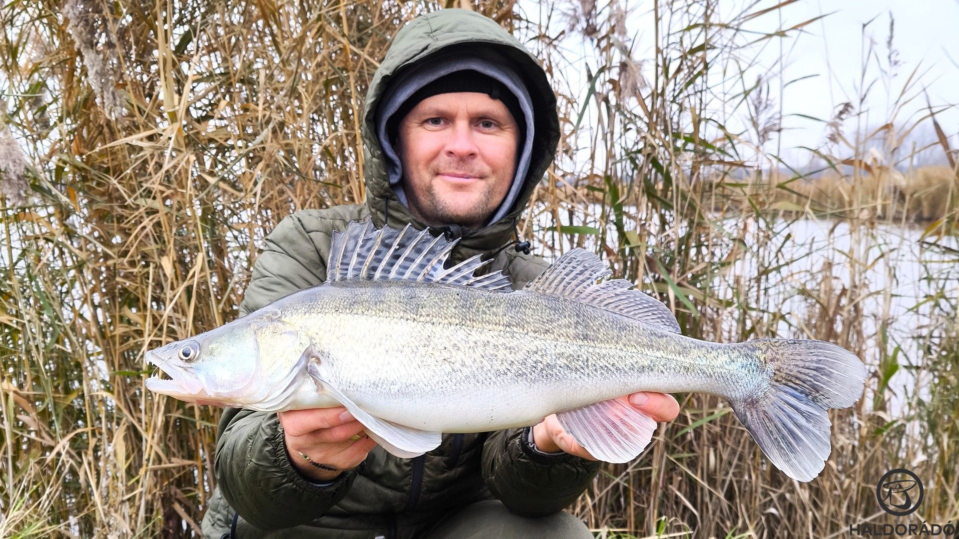 Wizard wobbleres pergetések