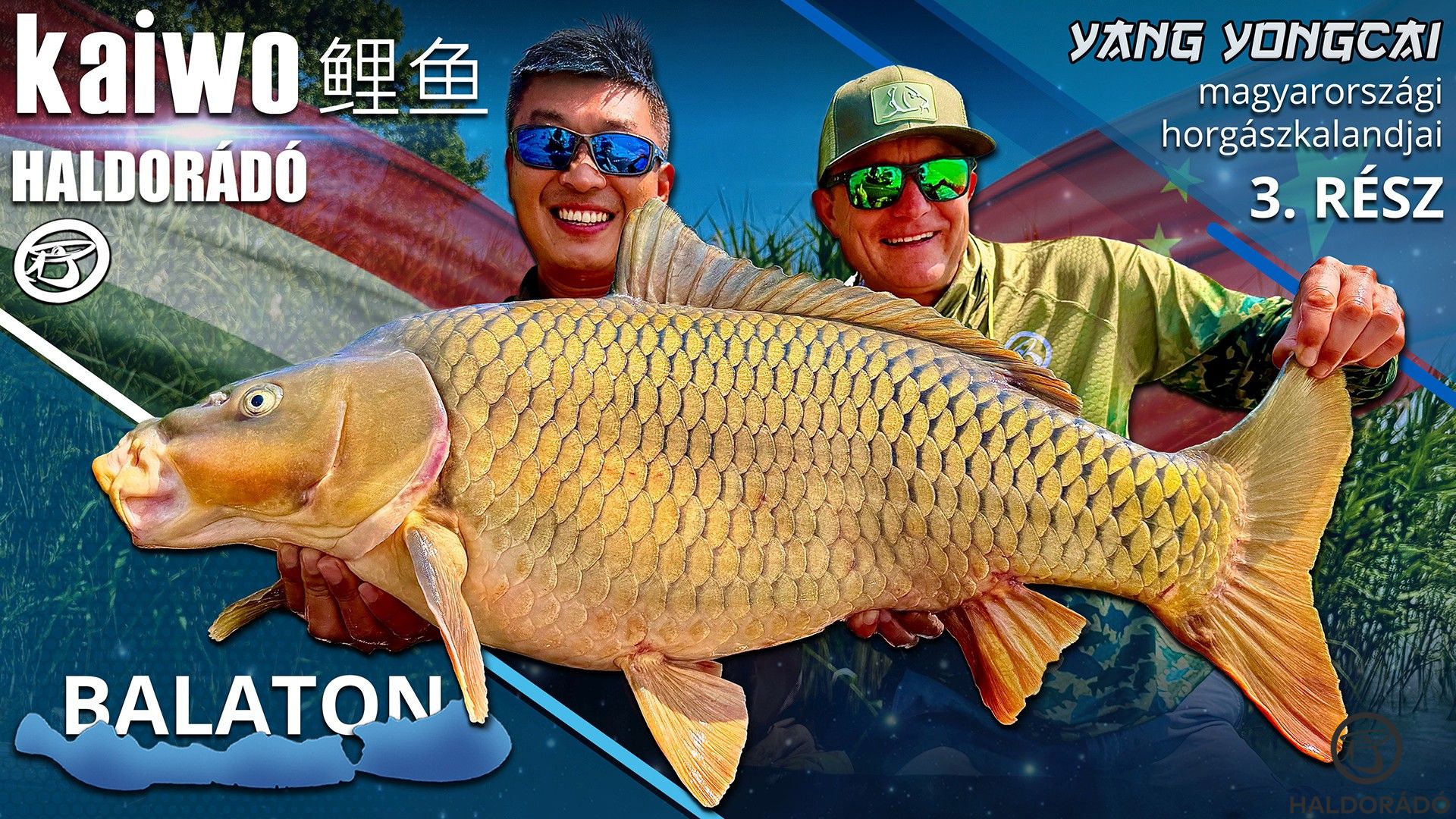Yang Yongcai magyarországi horgászkalandjai 3. rész – Balatoni nagyponty-horgászat