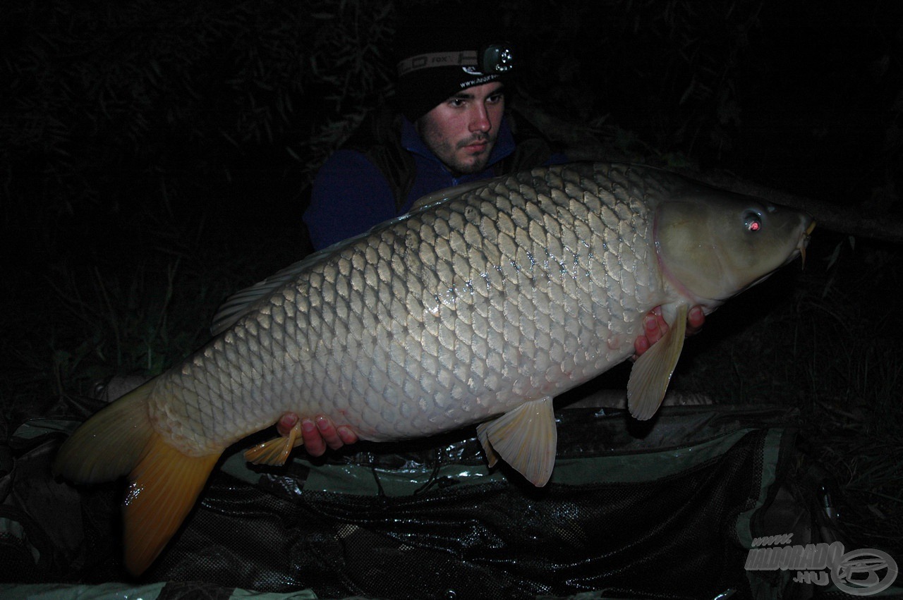 Irgalmatlan erő lakozik ezekben a tövesekben! (18,42 kg)