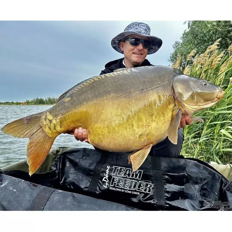 BLACK EDITION BC 300 2,5 Lbs csónakos, behúzós nagypontyos horgászbot + Dobókesztyű ujj / 12