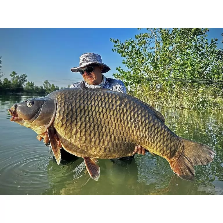 BLACK EDITION BC 390 3,5 Lbs távdobó nagypontyos horgászbot + Dobókesztyű ujj / 13