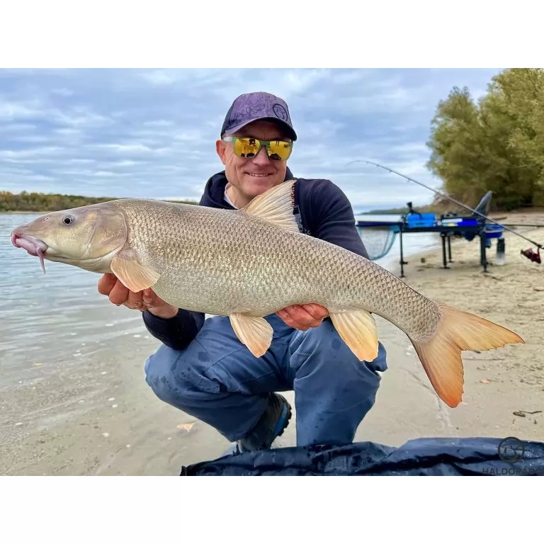 By Döme EXTREME 500 River Kaiwo Feeder 360EXH - brutál erős és rugalmas TOP folyóvízi feederbot / 25