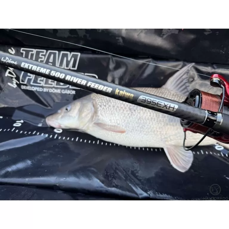 By Döme EXTREME 500 River Kaiwo Feeder 395EXH - brutál erős és rugalmas TOP folyóvízi feederbot / 24