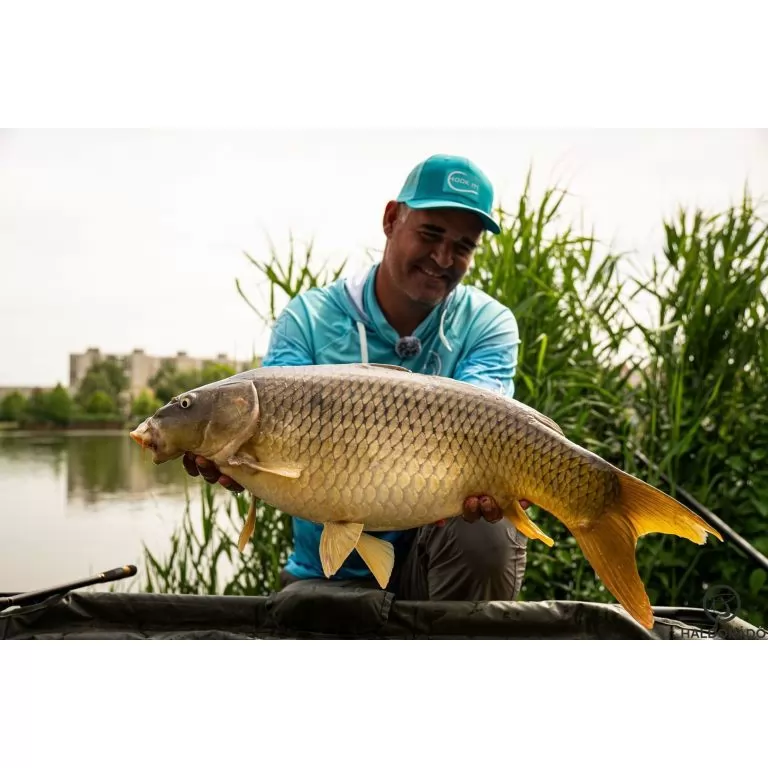 By Döme Kaiwo Gold Method Feeder 390H horgászbot / 20