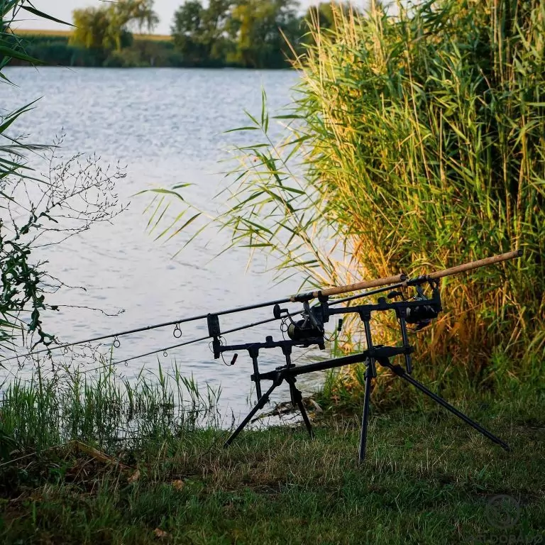 CARP ACADEMY Elit Rod Pod / 9