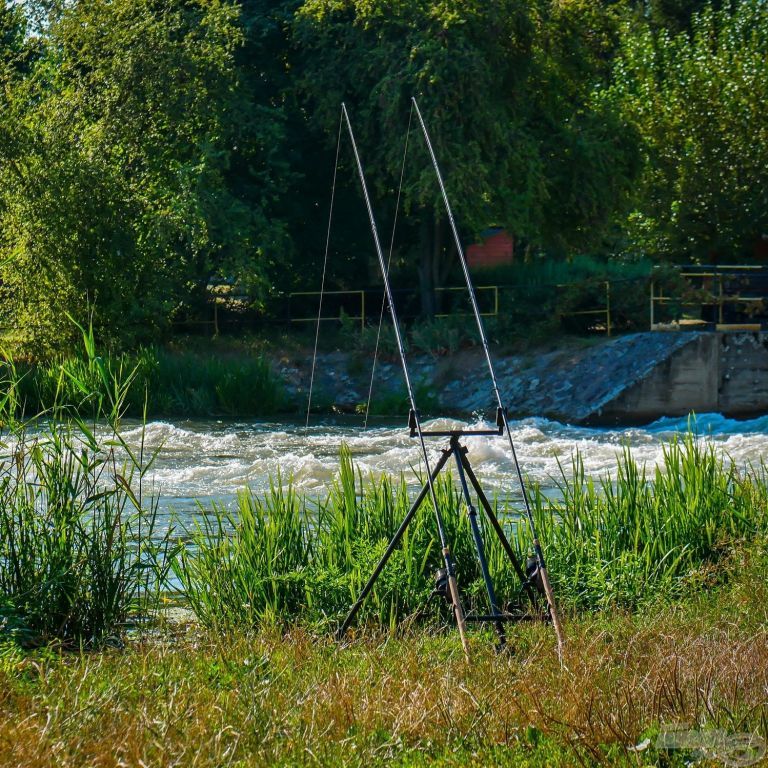 CARP ACADEMY River Rod Pod