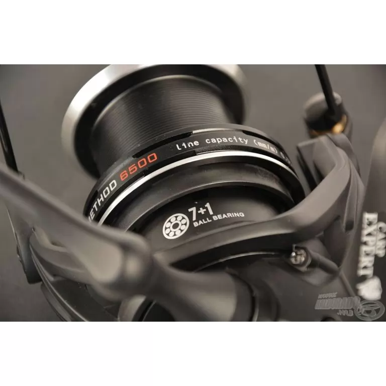 Carp Expert Score Method 5500 / 3
