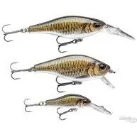 CORMORAN Lure Set Carp