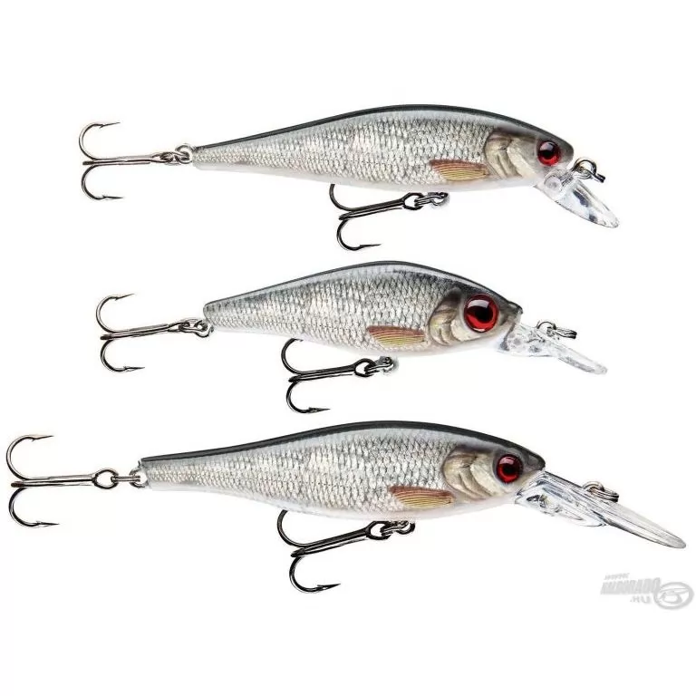 CORMORAN Lure Set Roach / 1