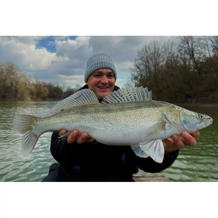 FRAPP Geko 11,5 cm - 23 / 9