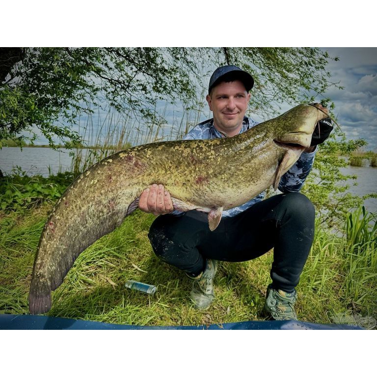 HALDORÁDÓ Catfish Rig 8 - Csalikarikás élőhalas előke