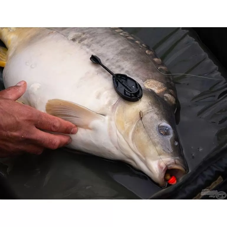 HALDORÁDÓ Dart XL 45 g HALDORÁDÓ Dart XL 45 g