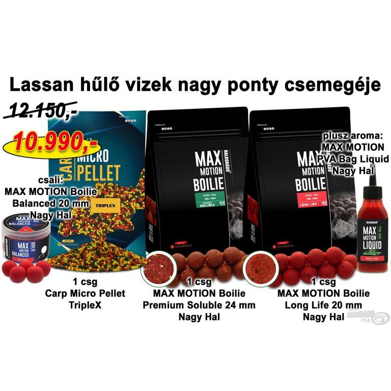 HALDORÁDÓ Őszi recept 5 - Lassan hűlő vizek nagy ponty csemegéje