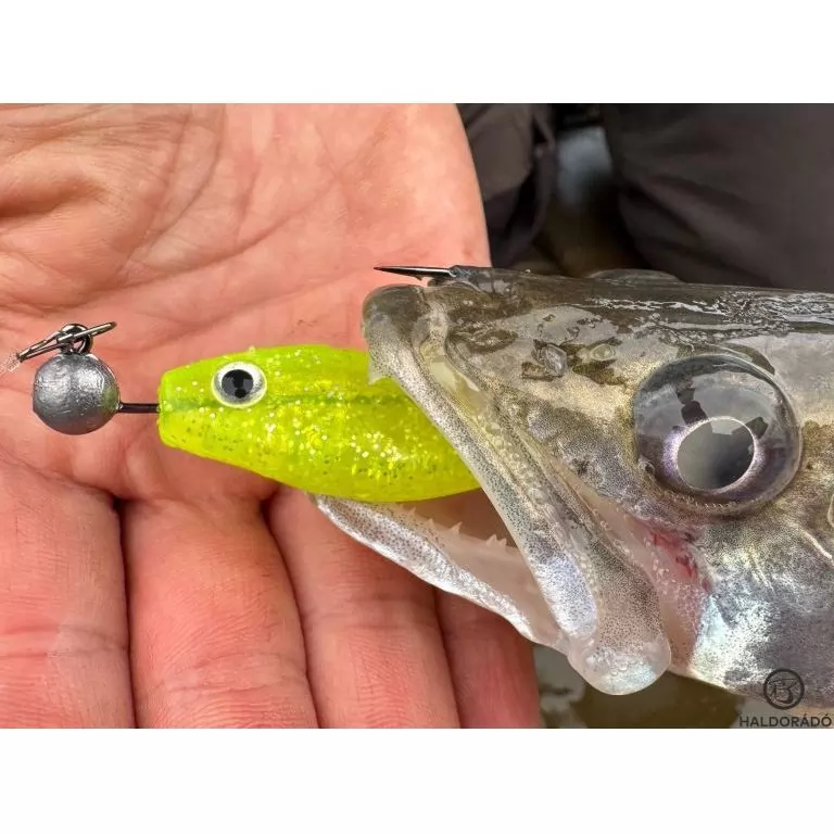 HALDORÁDÓ Predator Jig PRO 1/0 - 10 g / 4