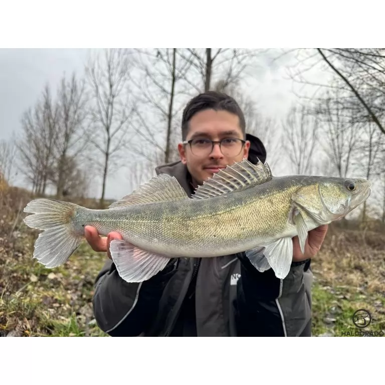 HALDORÁDÓ Predator Jig PRO 1/0 - 6 g / 5