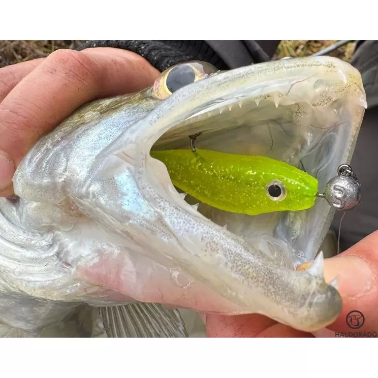 HALDORÁDÓ Predator Jig PRO 2/0 - 4 g / 3