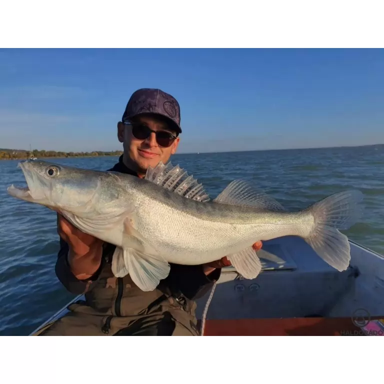 HALDORÁDÓ Predator Jig PRO 3/0 - 32 g / 4