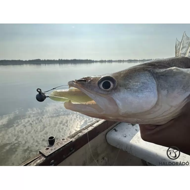 HALDORÁDÓ Predator Jig PRO 6/0 - 6 g / 2