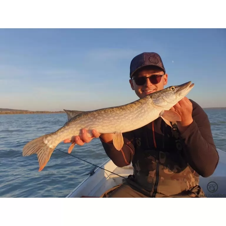 HALDORÁDÓ Predator Jig PRO 6/0 - 6 g / 4