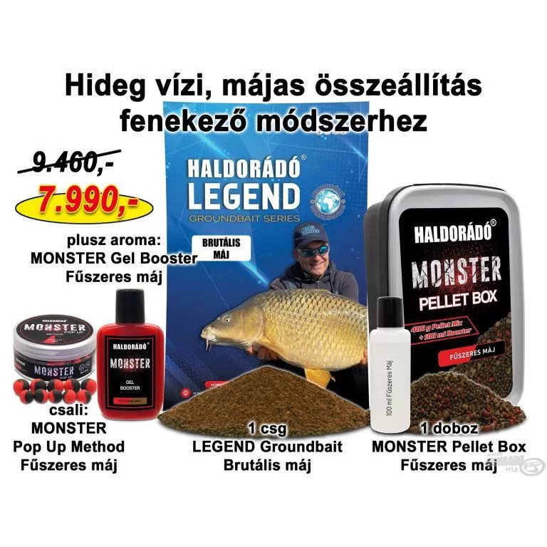 HALDORÁDÓ Téli recept 6 - Hideg vízi, májas összeállítás fenekező módszerhez / 1