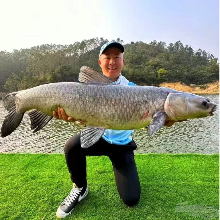 KAIWO Kardos Harci Ponty 8,1 m - extra erős spiccbot maximum 45 kg-os halakig / 15