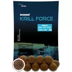 Feed boilies