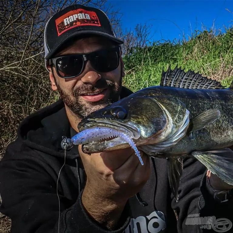 Rapala Crushcity Freeloader 10,6 cm - CPRL / 4