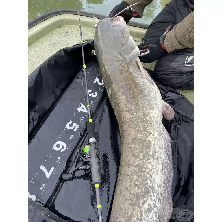 RBM NFC NextGen X Ray Catfish 198 cm RBM NFC NextGen X Ray Catfish 198 cm