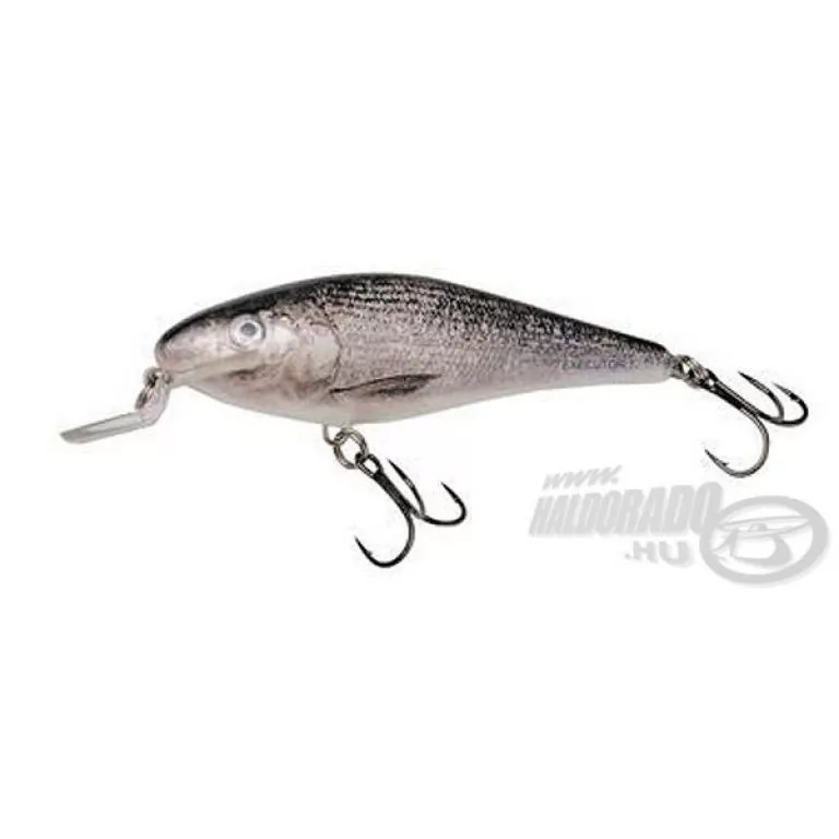 SALMO Executor IEX5SR CWF / 1