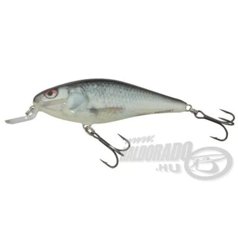 SALMO Executor IEX7SR RD / 1