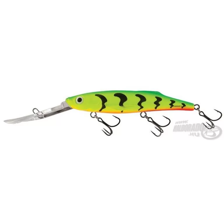 SALMO Freediver FD12SDR GT / 1
