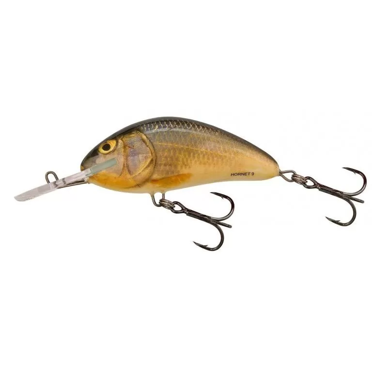 SALMO Hornet H9F RR / 1