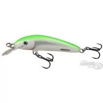 SALMO Minnow M6S LBS