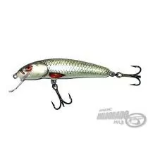 SALMO Minnow M7F D