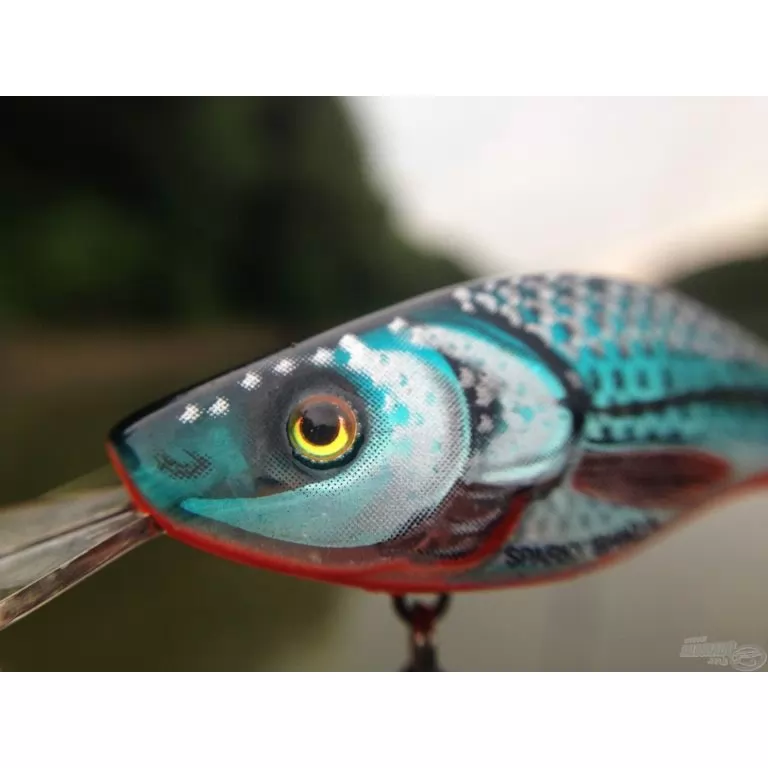 SALMO Sparky Shad SS4S HGOS SALMO Sparky Shad SS4S HGOS